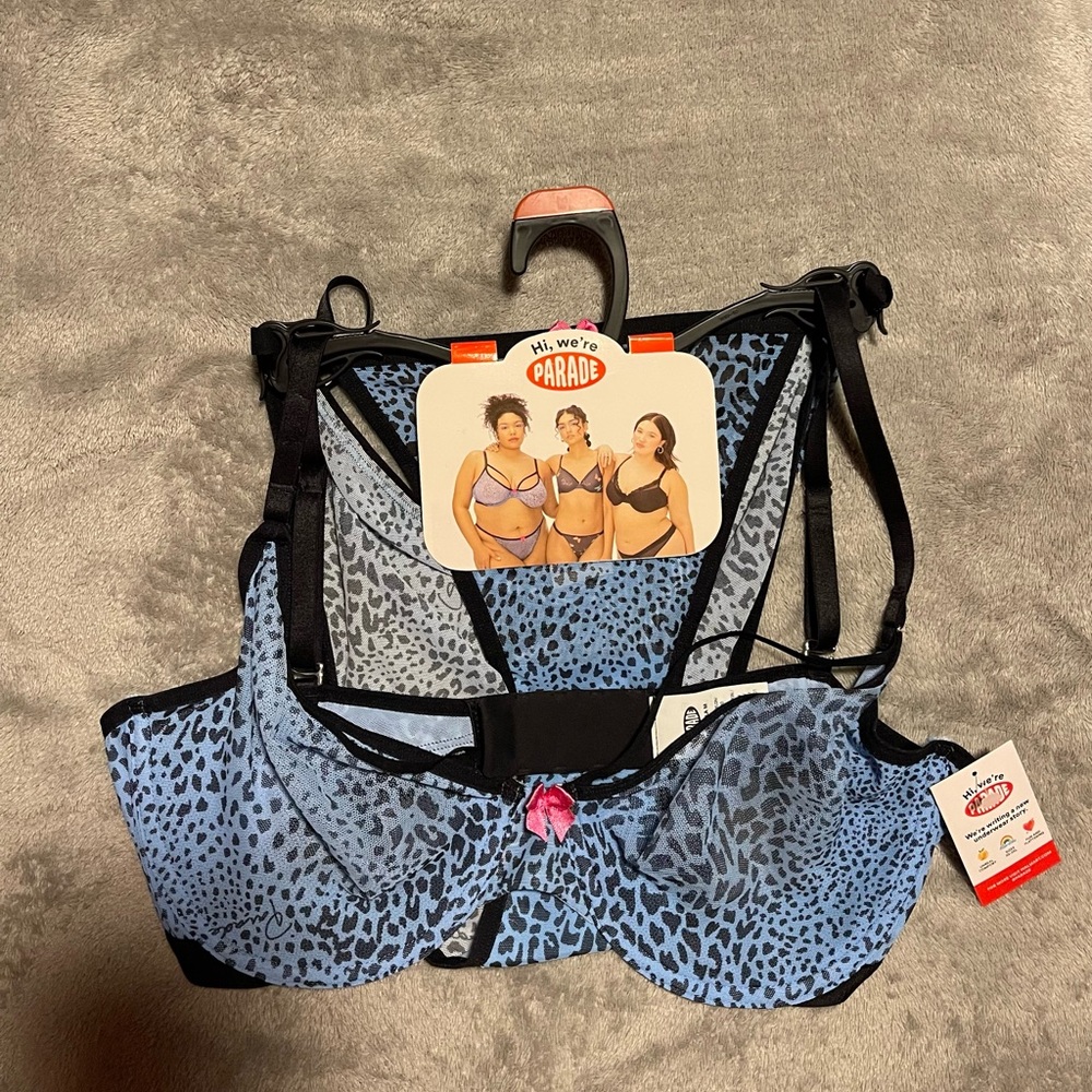 Parade Blue Leopard Print bra and pantie